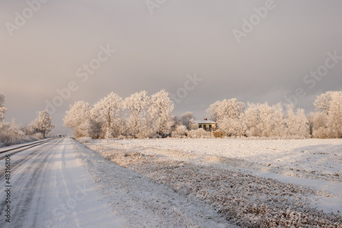 Photo: winter morning winter morning