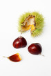Chestnut fruit with the husk open and the seeds fallen out.