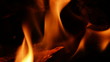 Video: Firewood burning, close up. Firewood burning, close up.