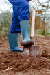 Close up of a digging