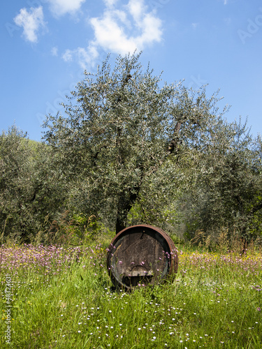 Photo: Botte all'aperto Botte all'aperto