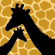 Giraffe Hide Pattern with Giraffes