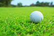 Foto: golf ball in fairway golf ball in fairway