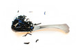 Photo: black tea black tea