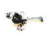 Photo: black tea black tea