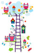 owl`s tree
