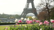 morning near the Eiffel Tower