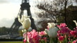 morning near the Eiffel Tower
