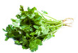 Coriander isolated