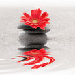 Galets et gerbera reflet zen
