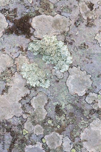Photo: Stone texture Stone texture