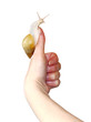 funny snail sitting on his thumb