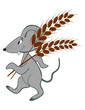 Little mouse with wheat on a white background