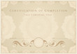 Certificate / Diploma of completion. Guilloche pattern