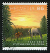 Horses and sun