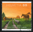 Horses and sun