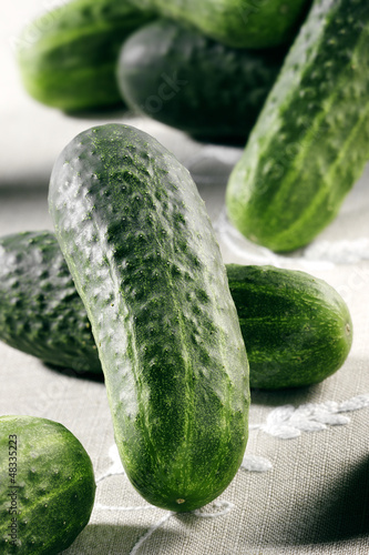 Photo: cucumbers cucumbers