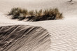 Sand dunes at sunset in the Sahara  in Morocco