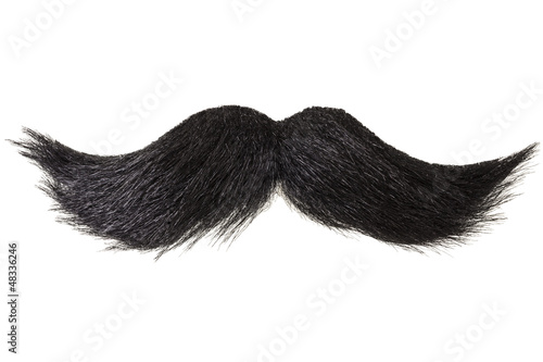 Photo: Curly moustache isolated on white Curly moustache isolated on white