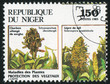 grower