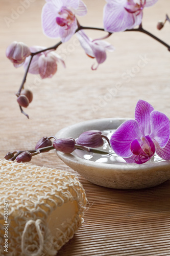 Photo: massage at the spa massage at the spa