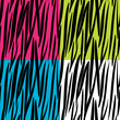 Zebra skin pattern seamless background