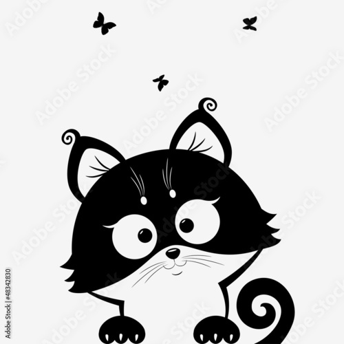 Vector: kitten black kitten black