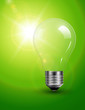 Light bulb on green, sunny background