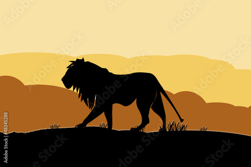 Illustration: León León