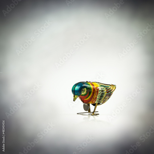 Photo: tin bird tin bird