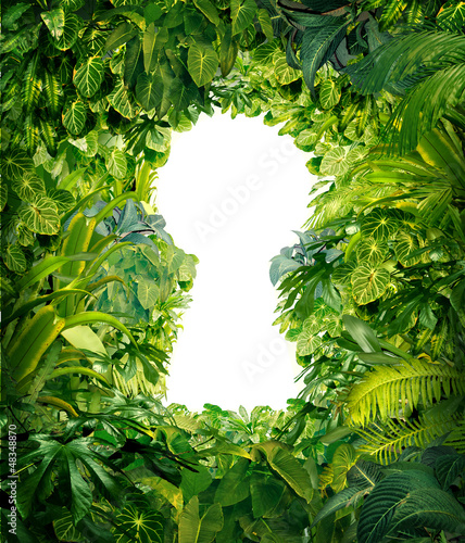 Illustration: Out Of The Jungle Out Of The Jungle