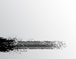 Tire track background