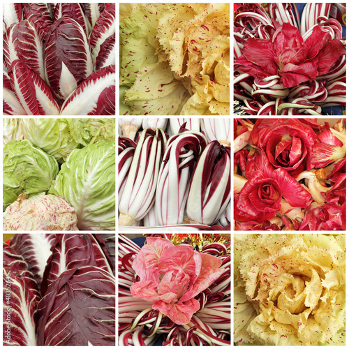 Photo: collage with images of radicchio mix,Radicchio Rosso di Treviso collage with images of radicchio mix,Radicchio Rosso di Treviso