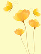 Floral background with flowers