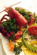 Homarus gammarus Homar europejski