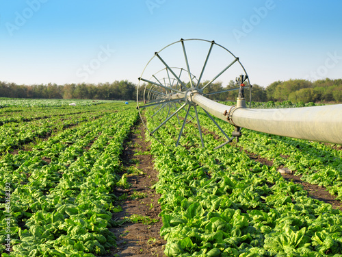 Photo: vegetable field and irrigation equipment vegetable field and irrigation equipment