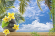 décor exotique vacances tropicales