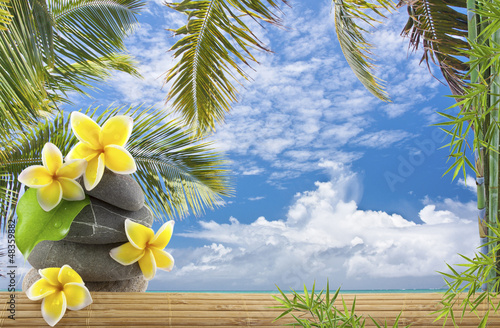 Photo: décor exotique vacances tropicales décor exotique vacances tropicales