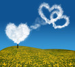Foto: heart shape clouds above dandelion field heart shape clouds above dandelion field