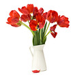 Tulips bouquet