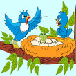 Vector: of an angry male birds found crocodile of an angry male birds found crocodile
