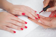 Woman applying nail varnish to finger nails