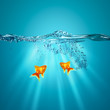 Funny underwater backgrounds for your design