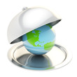 Earth globe on ceramic salver under a chrome food cover
