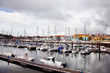 Harbor