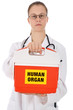 Ärztin mit Kühlbox "Organspende"