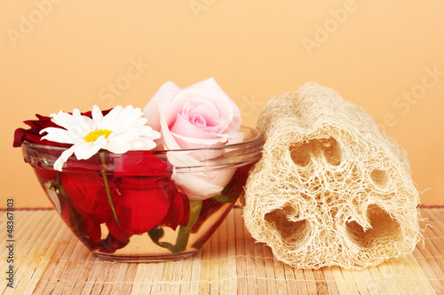 Photo: Loofah on color background Loofah on color background