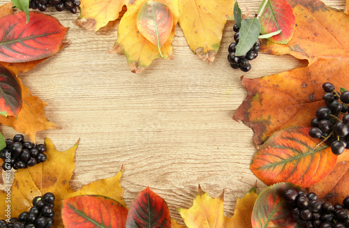 Photo: bright autumn leaves and wild berries, on wooden background bright autumn leaves and wild berries, on wooden background
