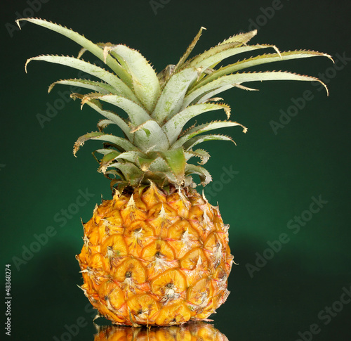 Photo: Ripe pineapple on dark green background Ripe pineapple on dark green background