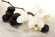 Spa stones and orchid flowers, isolated on white.